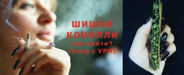 дмт Пересвет