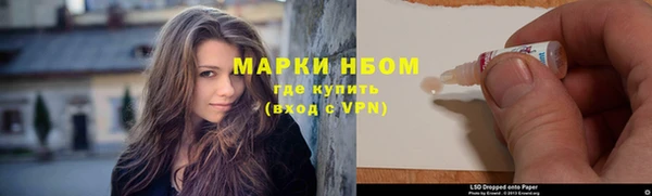дмт Пересвет
