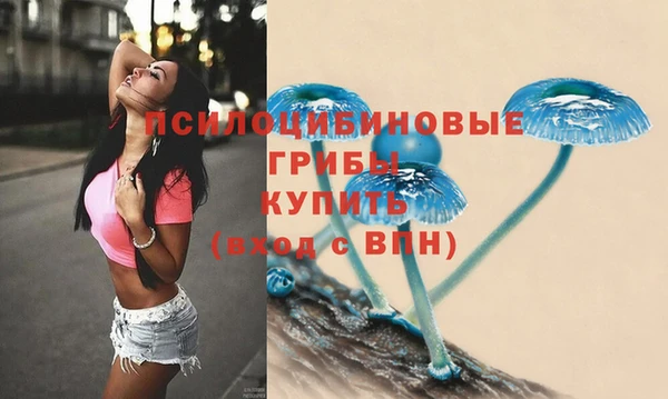 эйфоретик Алексеевка