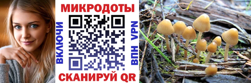 Галлюциногенные грибы MAGIC MUSHROOMS Бронницы